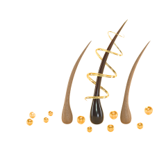 hair loss prevention illustration