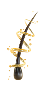 hair growth science illustration