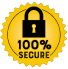 100% secure logo